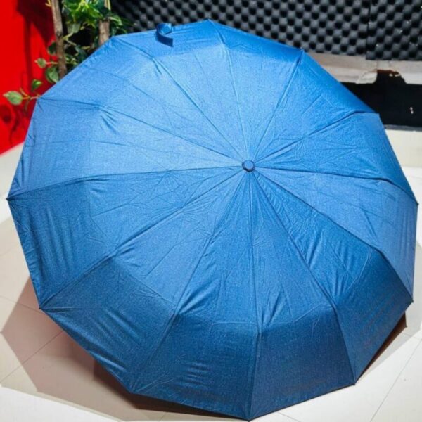 Premium 12-Ribs Auto Umbrella with Light / বিল্ট-ইন লাইটসহ প্রিমিয়াম ১২-রিব ছাতা