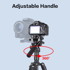 07cb1dcf6b-4 07cb1dcf6b-4